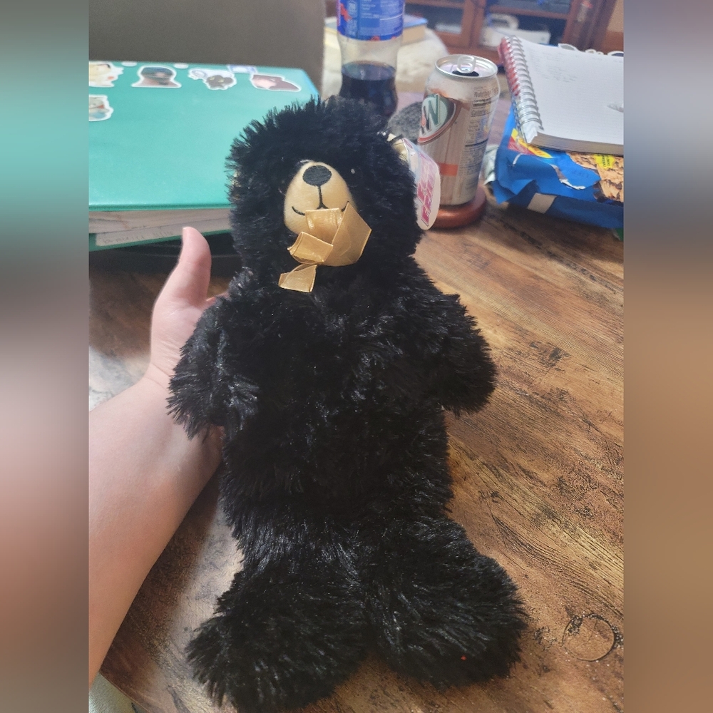 Fuzzy Friends Teddy Bear